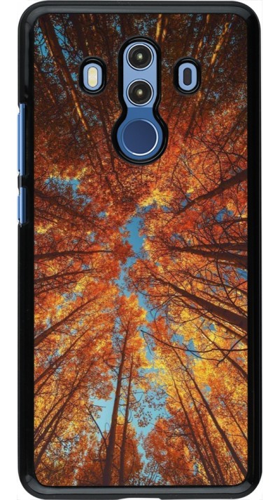 Coque Huawei Mate 10 Pro - Autumn 25 Trees
