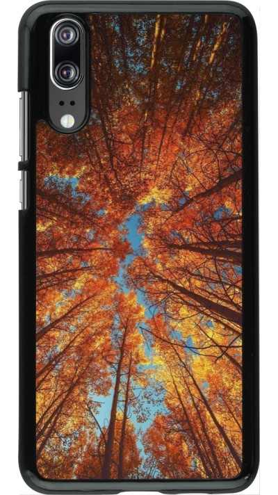 Coque Huawei P20 - Autumn 25 Trees