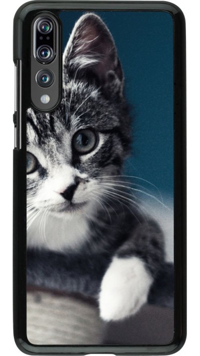 Hülle Huawei P20 Pro - Meow 23 Hülle Huawei P20 Pro - Meow 23