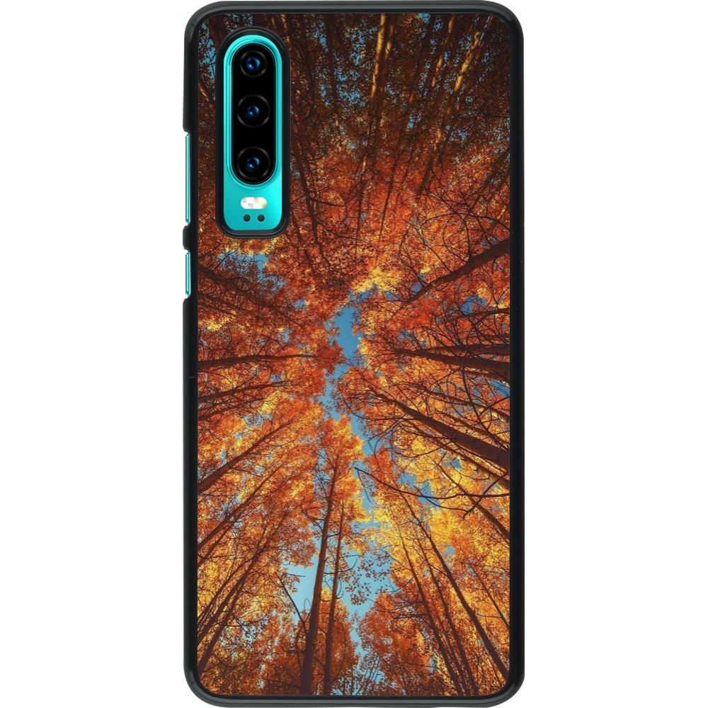 Coque Huawei P30 - Autumn 25 Trees