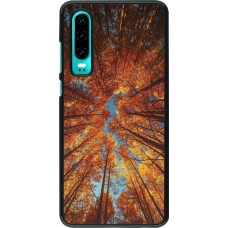 Coque Huawei P30 - Autumn 25 Trees