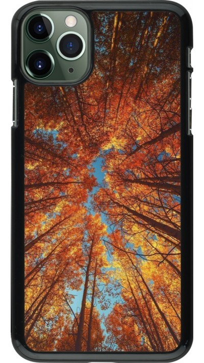 Coque iPhone 11 Pro Max - Autumn 25 Trees