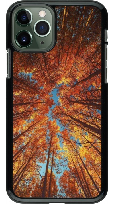 Coque iPhone 11 Pro - Autumn 25 Trees