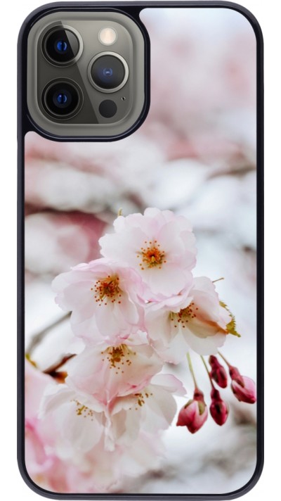 Coque iPhone 12 Pro Max - Cherry tree Spring 2026