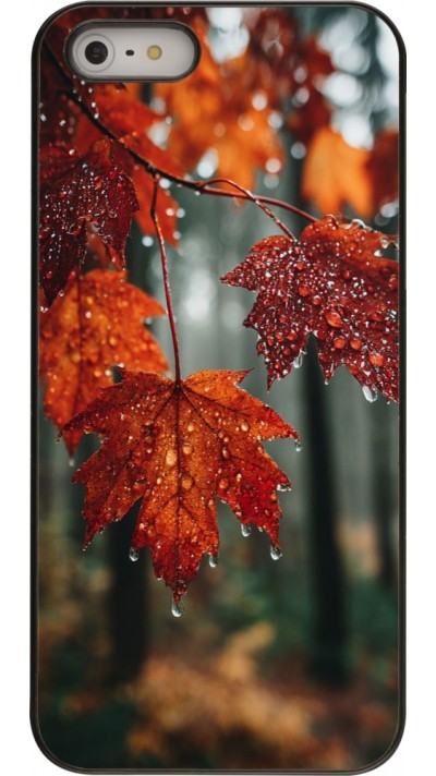 Coque iPhone 5/5s / SE (2016) - Autumn 25 Rain
