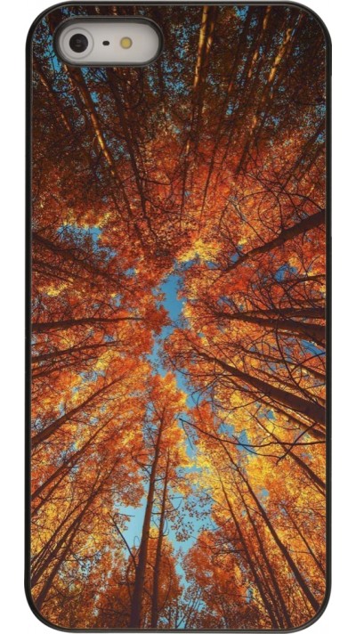 Coque iPhone 5/5s / SE (2016) - Autumn 25 Trees