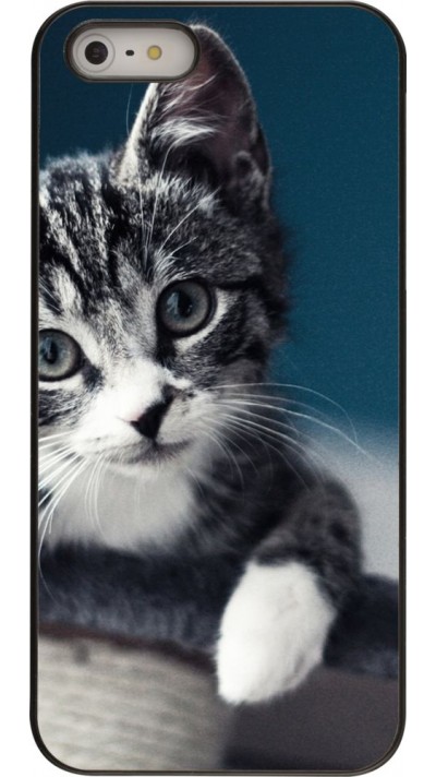 Hülle iPhone 5/5s / SE (2016) - Meow 23 Hülle iPhone 5/5s / SE (2016) - Meow 23
