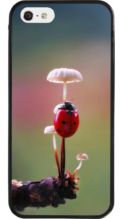 Coque iPhone 5/5s / SE (2016) - Silicone rigide noir Ladybird on a mushroom Spring 2026