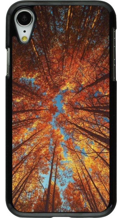 Coque iPhone XR - Autumn 25 Trees