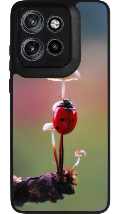 Motorola Moto S50 Case Hülle - Silikon schwarz Ladybird on a mushroom Spring 2026