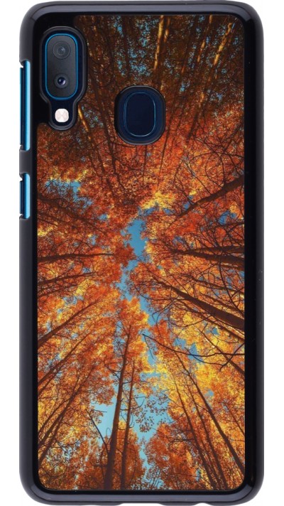 Coque Samsung Galaxy A20e - Autumn 25 Trees