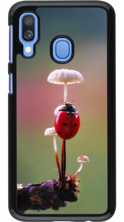 Coque Samsung Galaxy A40 - Ladybird on a mushroom Spring 2026