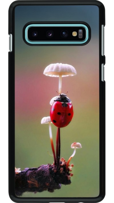 Samsung Galaxy S10 Case Hülle - Ladybird on a mushroom Spring 2026