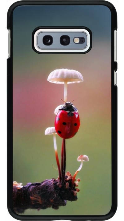Samsung Galaxy S10e Case Hülle - Ladybird on a mushroom Spring 2026