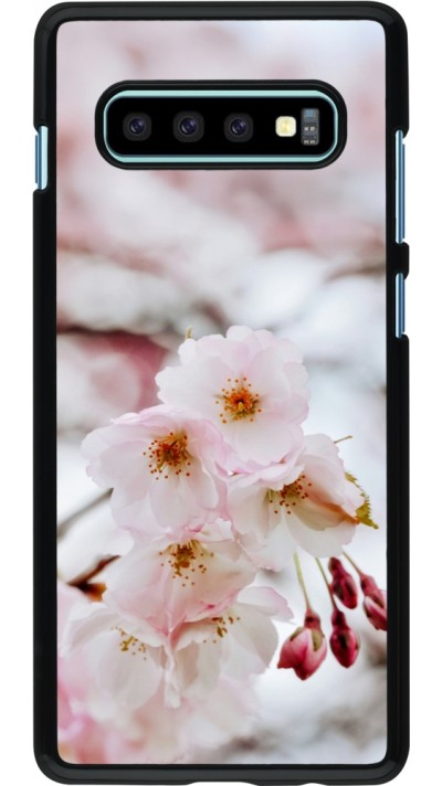 Coque Samsung Galaxy S10+ - Cherry tree Spring 2026