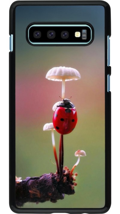 Coque Samsung Galaxy S10+ - Ladybird on a mushroom Spring 2026