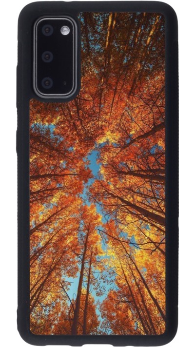 Coque Samsung Galaxy S20 - Silicone rigide noir Autumn 25 Trees