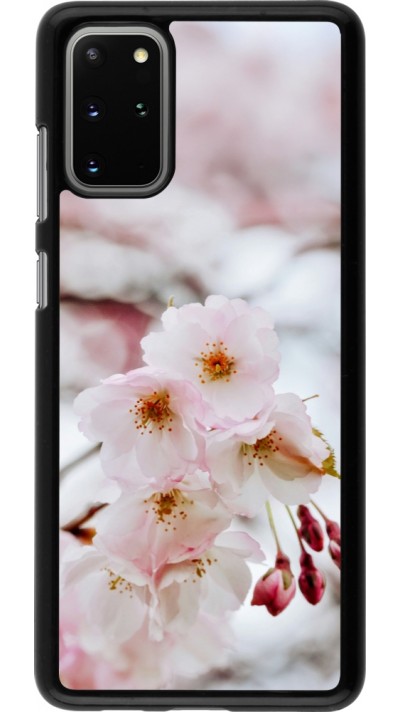 Coque Samsung Galaxy S20+ - Cherry tree Spring 2026