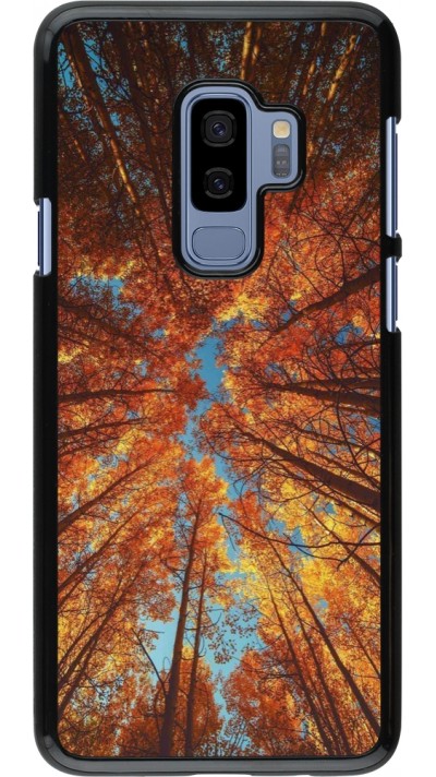 Coque Samsung Galaxy S9+ - Autumn 25 Trees