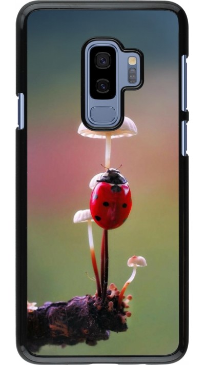 Coque Samsung Galaxy S9+ - Ladybird on a mushroom Spring 2026
