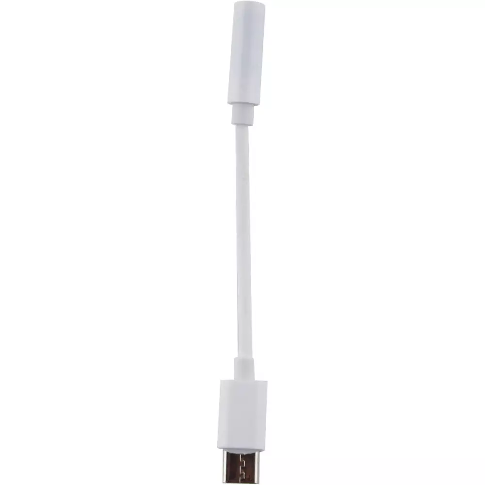 Adaptateur USB-C vers AUX 3.5 mm - Connexion audio Smartphone/Portable/Tablette - Blanc