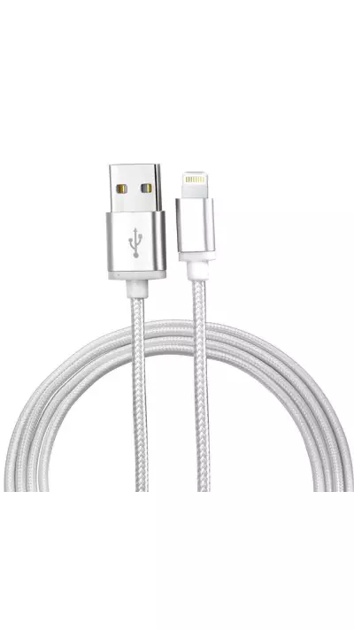 Câble iPhone (1m) Lightning vers USB-A - Nylon metal - Argent