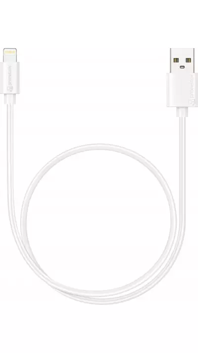 Câble Lightning iPhone USB (50 cm) - PhoneLook - Blanc