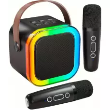 Mini enceinte à karaoké sans fil Bluetooth avec microphone et lumières LED (avec 2 micros) - Noir