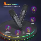 Mini enceinte à karaoké sans fil Bluetooth avec microphone et lumières LED (avec 2 micros) - Noir