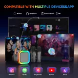 Mini enceinte à karaoké sans fil Bluetooth avec microphone et lumières LED (avec 2 micros) - Noir