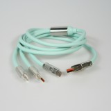 Câble 3 en 1 USB-A vert Lightning / USB-C / Micro USB (1 m) en silicone résistant et léger - Vert menthe