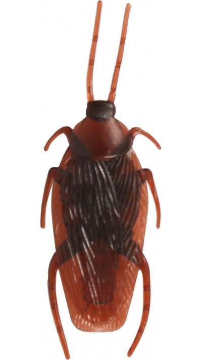 Faux cafard brun réaliste - Insecte effrayant pour Halloween - Brun