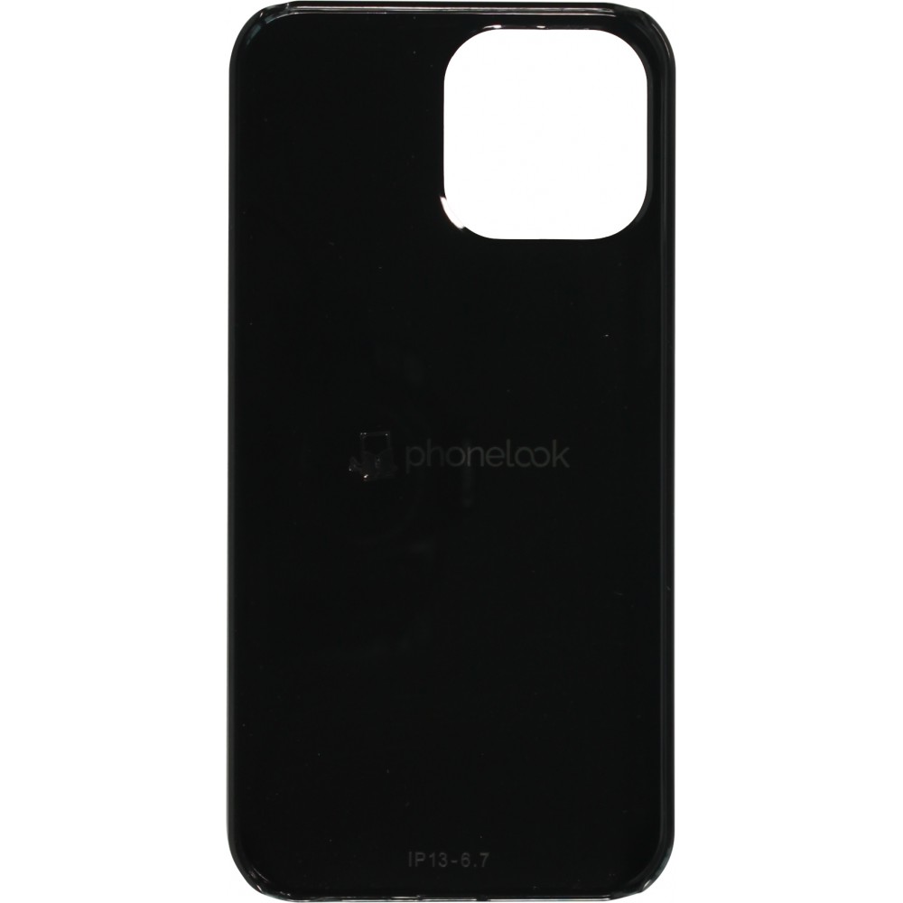 Coque iPhone 13 Pro Max - Canton VD blanc