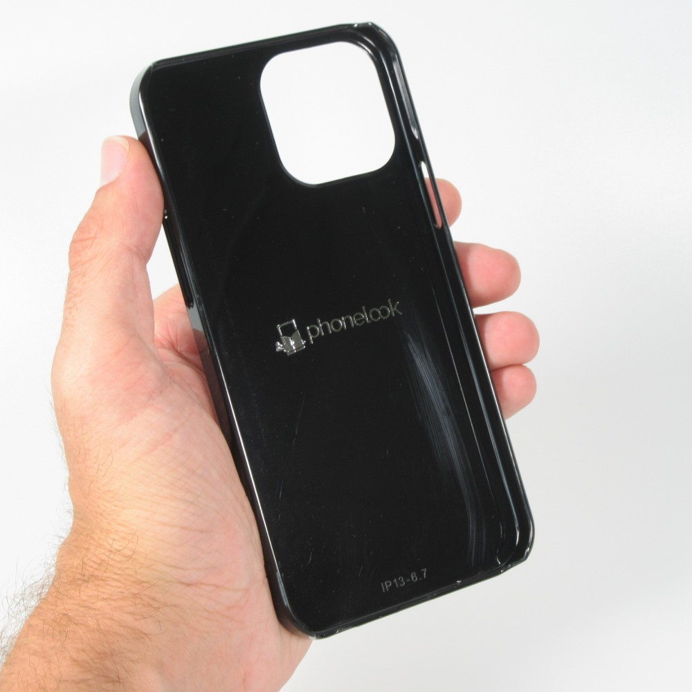 Coque iPhone 13 Pro Max - Canton VD blanc